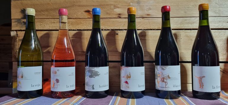 Portfolio de Dominio de Freneza, vinos profundos, frescos y super bebibles