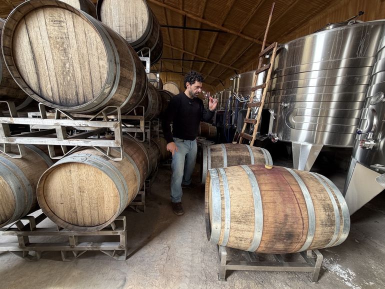 Agustín chequeando los tanques y la evolución de sus vinos