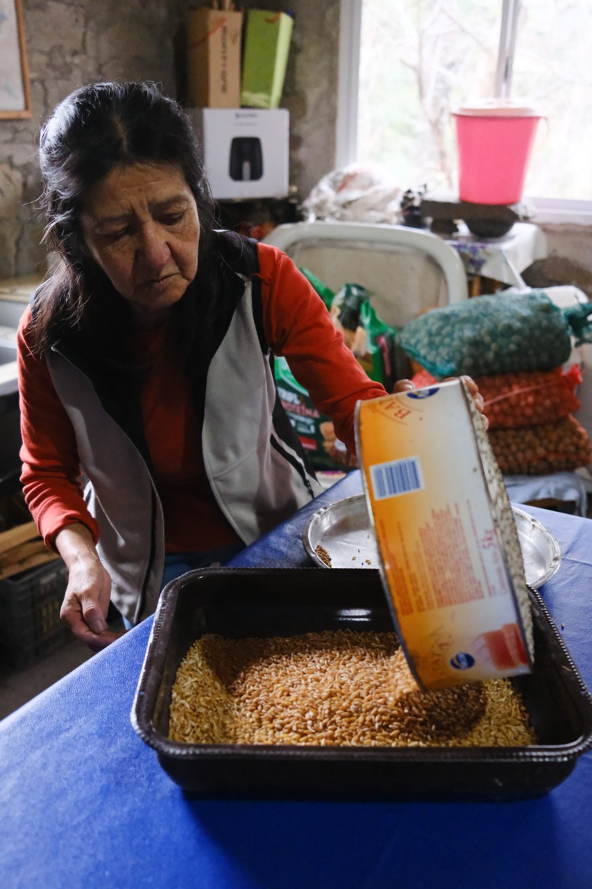 Teresa midiendo el trigo