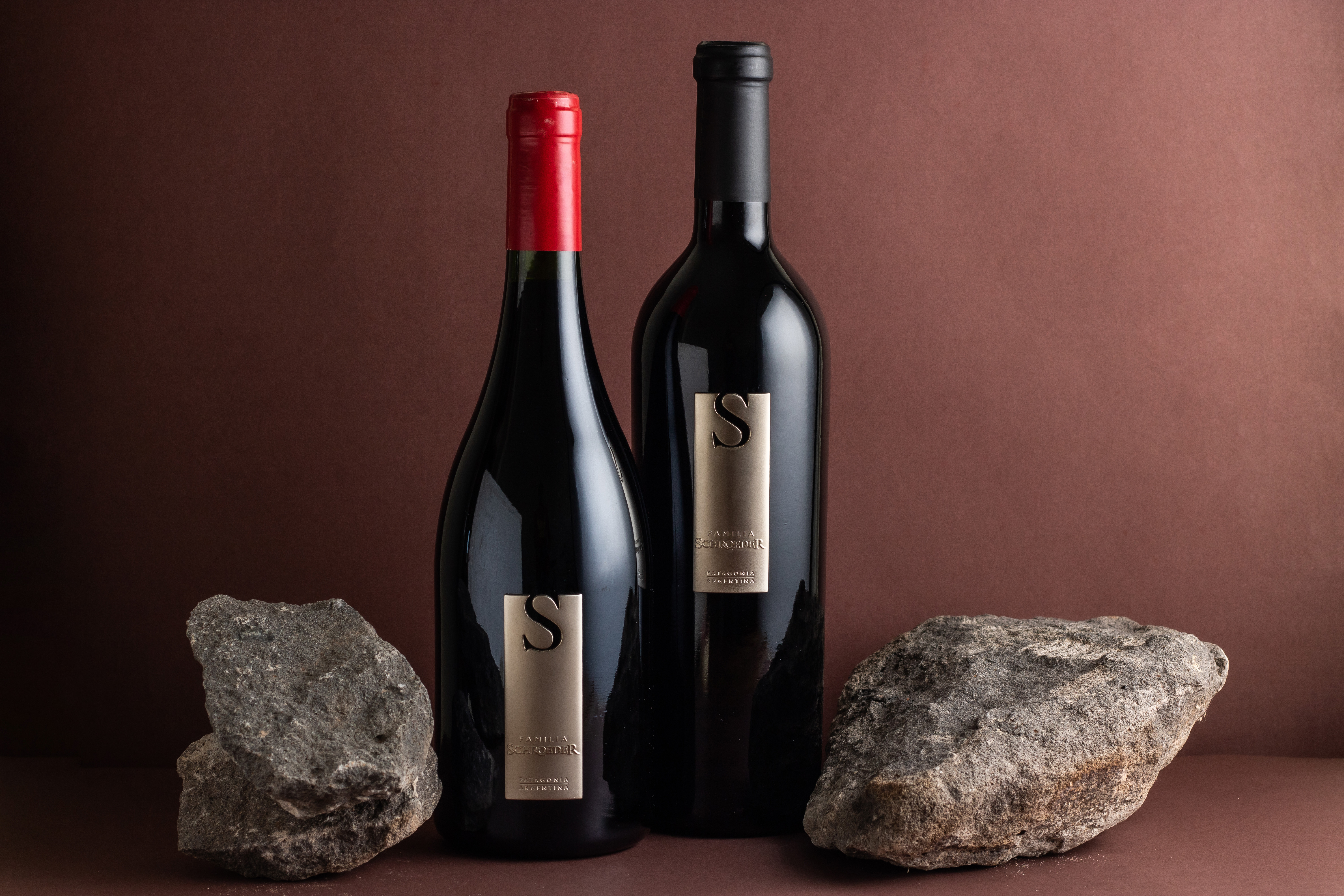 Viñedos de Familia Schroeder en San Patricio del Chañar